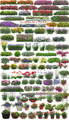 園林景觀與家用電器 現代家居美學的新融合